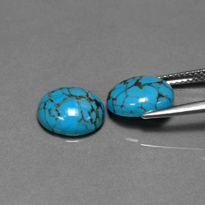 Pedras preciosas de turquesa azul natural de  ct, corte oval, opaco