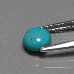 Turquesa azul natural 0,66ct, corte redondo, opaco