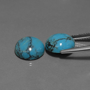Pedras preciosas de turquesa azul natural de  ct, corte redondo, opaco