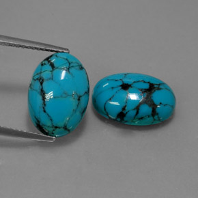 Pedras preciosas de turquesa azul natural de  ct, corte oval, opaco