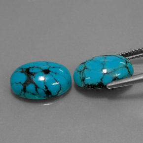Pedras preciosas de turquesa azul natural de  ct, corte oval, opaco