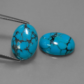 Pedras preciosas de turquesa azul natural de  ct, corte oval, opaco