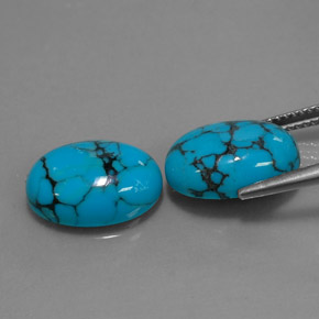 Pedras preciosas de turquesa azul natural de  ct, corte oval, opaco