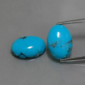 Pedras preciosas de turquesa azul natural de  ct, corte oval, opaco