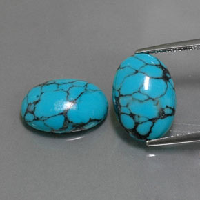 Pedras preciosas de turquesa azul natural de  ct, corte oval, opaco