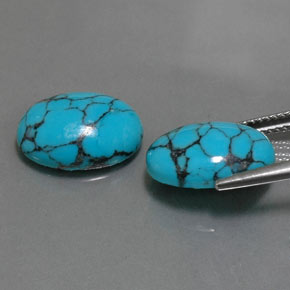 Pedras preciosas de turquesa azul natural de  ct, corte oval, opaco