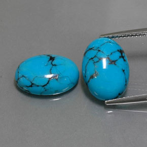 Pedras preciosas de turquesa azul natural de  ct, corte oval, opaco