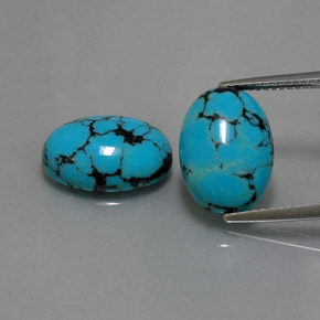 Pedras preciosas de turquesa azul natural de  ct, corte oval, opaco