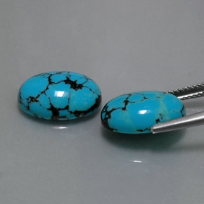 Pedras preciosas de turquesa azul natural de  ct, corte oval, opaco