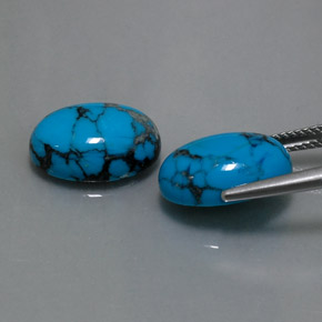 Pedras preciosas de turquesa azul natural de  ct, corte oval, opaco