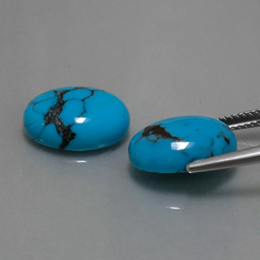 Pedras preciosas de turquesa azul natural de  ct, corte oval, opaco