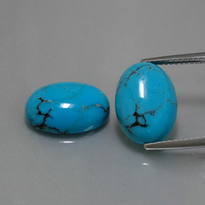 Pedras preciosas de turquesa azul natural de  ct, corte oval, opaco