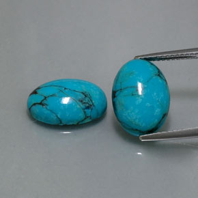 Pedras preciosas de turquesa azul natural de  ct, corte oval, opaco