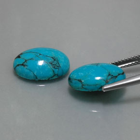 Pedras preciosas de turquesa azul natural de  ct, corte oval, opaco