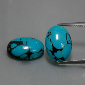 Pedras preciosas de turquesa azul natural de  ct, corte oval, opaco