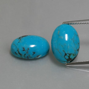 Pedras preciosas de turquesa azul natural de  ct, corte oval, opaco