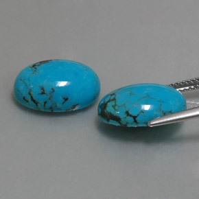Pedras preciosas de turquesa azul natural de  ct, corte oval, opaco