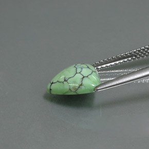 Turquesa verde natural 2,47ct, trillion, opaco