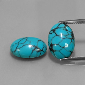 Pedras preciosas de turquesa azul natural de  ct, corte oval, opaco