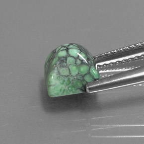 Turquesa verde natural 2,29ct, quadrado, opaco