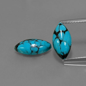 Pedras preciosas de turquesa azul natural de  ct, marquise, opaco