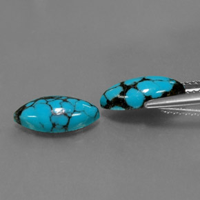 Pedras preciosas de turquesa azul natural de  ct, marquise, opaco