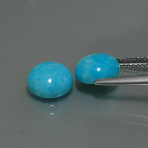 Pedras preciosas de turquesa azul natural de  ct, corte redondo, opaco