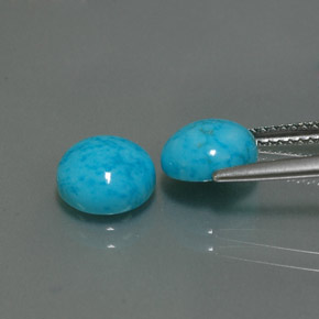 Pedras preciosas de turquesa azul natural de  ct, corte redondo, opaco