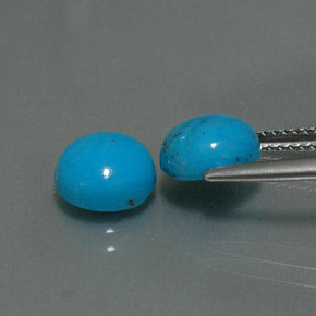 Pedras preciosas de turquesa azul natural de  ct, corte redondo, opaco