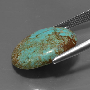 Turquesa verde natural 12,94ct, corte oval, opaco