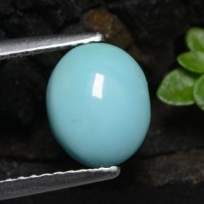 Turquesa azul natural 1,11ct, corte oval, opaco