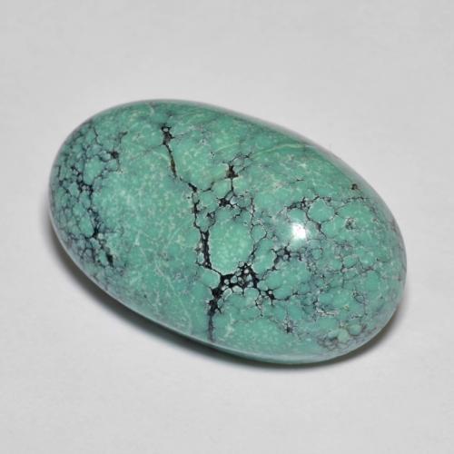 Turquesa turquesa natural 13,76ct, corte oval, opaco