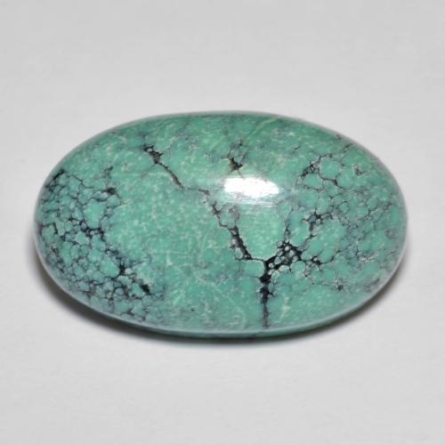 Turquesa turquesa natural 13,76ct, corte oval, opaco