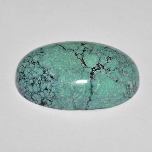 Turquesa turquesa natural 13,76ct, corte oval, opaco