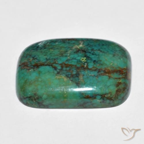 Turquesa Verde azulado Natural 13.24ct, Almofada, Opaco