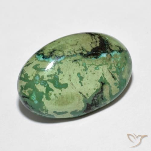 Turquesa verde natural 9,73ct, corte oval, opaco