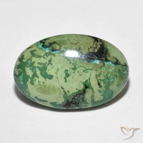 Turquesa verde natural 9,73ct, corte oval, opaco
