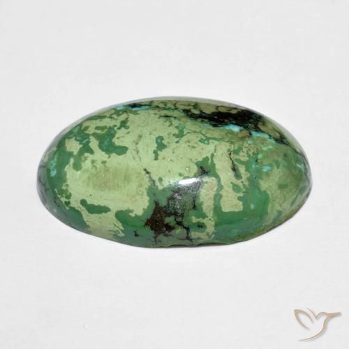 Turquesa verde natural 9,73ct, corte oval, opaco