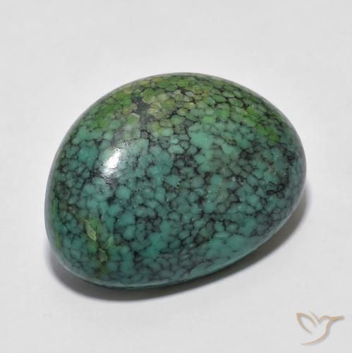 8.63ct Natural Apple Green Turquoise, Fancy, Opaque