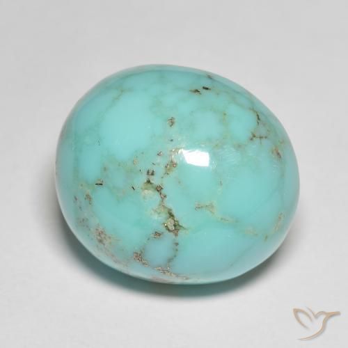 Turquesa turquesa natural 18,73ct, corte oval, opaco
