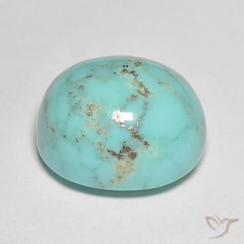 Turquesa turquesa natural 18,73ct, corte oval, opaco