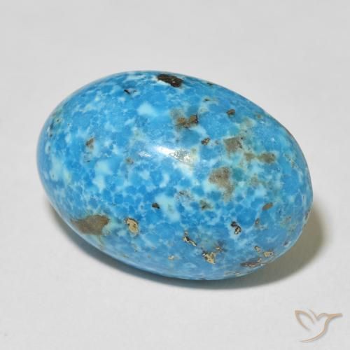 Turquesa Cerceta Natural 24.33ct, oval, Opaco