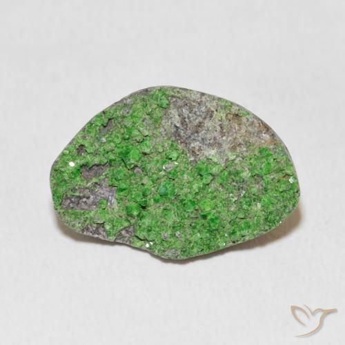 10.37ct Natural verde elétrico Uvarovita Garnet Drusy, Chique, Opaco