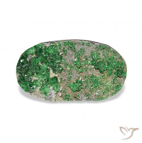 7.91ct Deep Earthy Green Uvarovita Garnet Drusy Pedras Preciosas, oval, Opaco