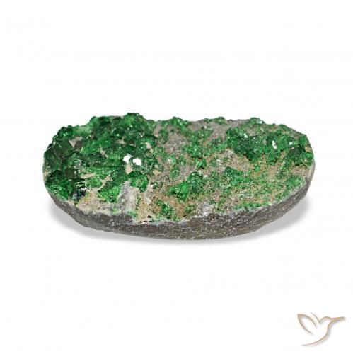 Uvarovita Garnet Drusy Deep Earthy Green Natural 7.91ct, oval, Opaco