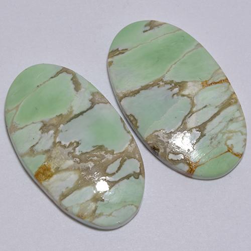 Pedras preciosas de Variscito Verde natural de 12.39 ct, Corte Oval, Opaco