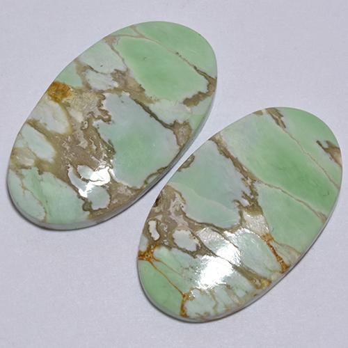 Pedras preciosas de Variscito Verde natural de 12.39 ct, Corte Oval, Opaco