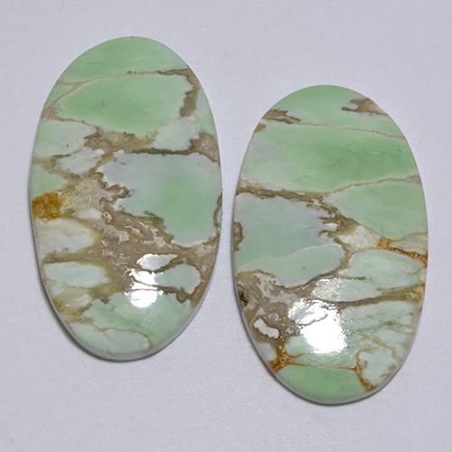 Pedras preciosas de Variscito Verde natural de 12.39 ct, Corte Oval, Opaco