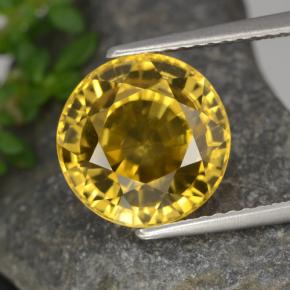 Zircão amarelo natural 6,97ct, corte redondo, VVS