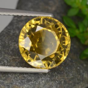 Zircão amarelo natural 6,97ct, corte redondo, VVS